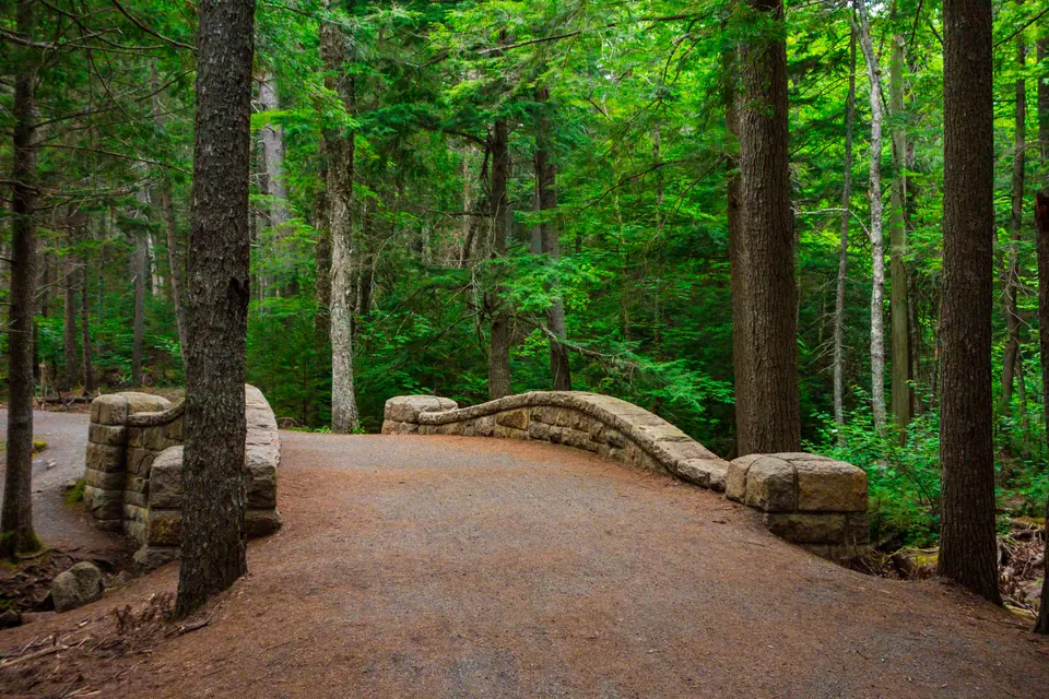Ein breiter Schotterweg führt durch hohen Nadelwald, rechts begrenzt von einer niedrigen, geschwungenen Brüstung aus Granitblöcken.