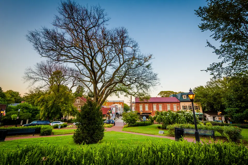 Rasenfläche mit großem kahlem Baum, Hecken, Bänken und einer Laterne in der Abenddämmerung. Ein Backsteinweg führt zu einer Straße mit Backsteinhäusern im Hintergrund.