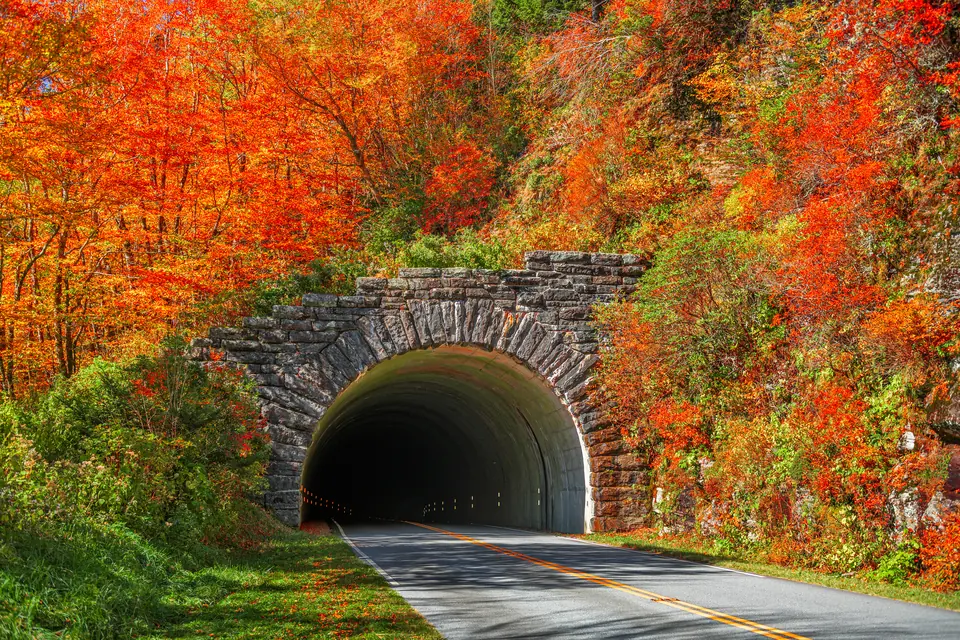 Tunnelportal aus Naturstein, umgeben von rot und orange gefärbtem Herbstlaub, die Straße führt hinein.