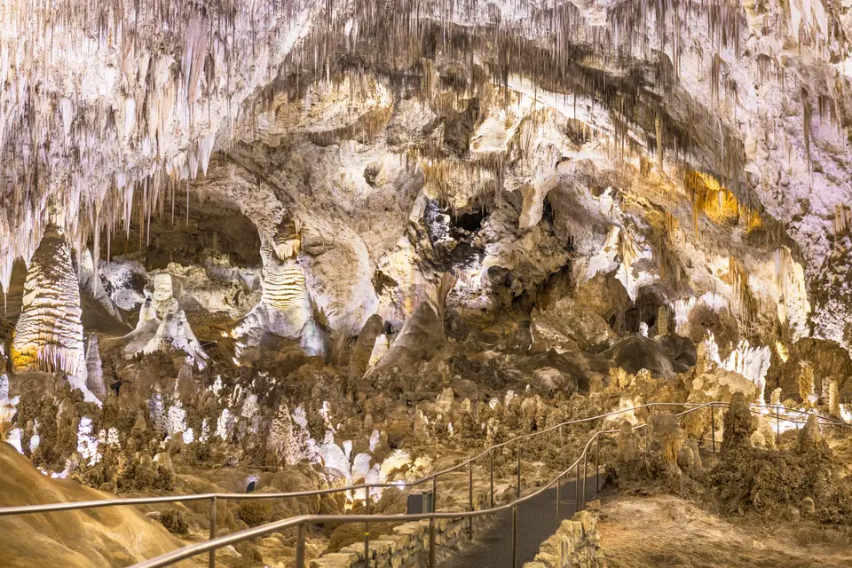 Weiter Höhlensaal mit hellen Tropfsteinsäulen und von der Decke hängenden Tropfsteinen. Im Vordergrund ein Weg mit Geländer, der durch die beleuchtete Halle führt.