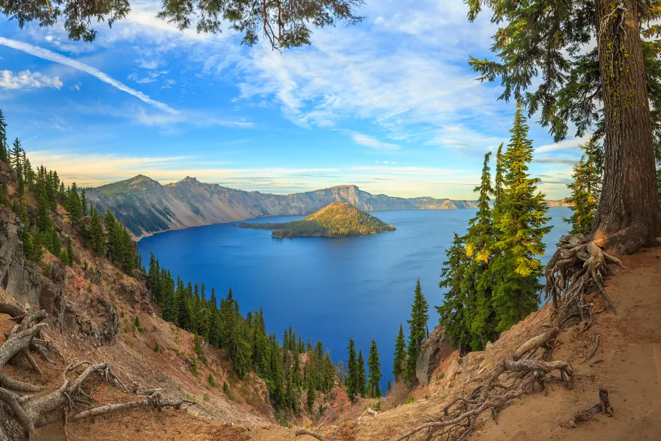 Blick von einem Hang mit Wurzeln und Nadelbäumen hinunter auf einen tiefblauen See mit einer bewaldeten Insel.