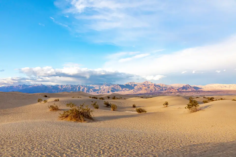 Sanddünen mit vereinzelten Büschen, im Hintergrund eine Bergkette unter leicht bewölktem Himmel.