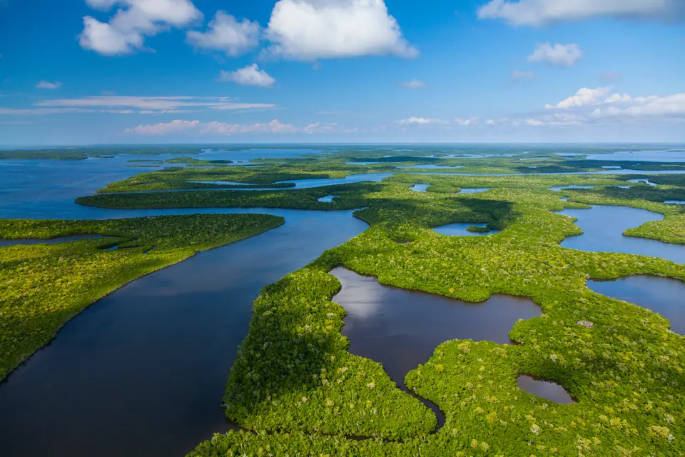 Luftbild: grüne Mangroveninseln, dazwischen verzweigte Wasserläufe und offene Wasserflächen bis zum Horizont.