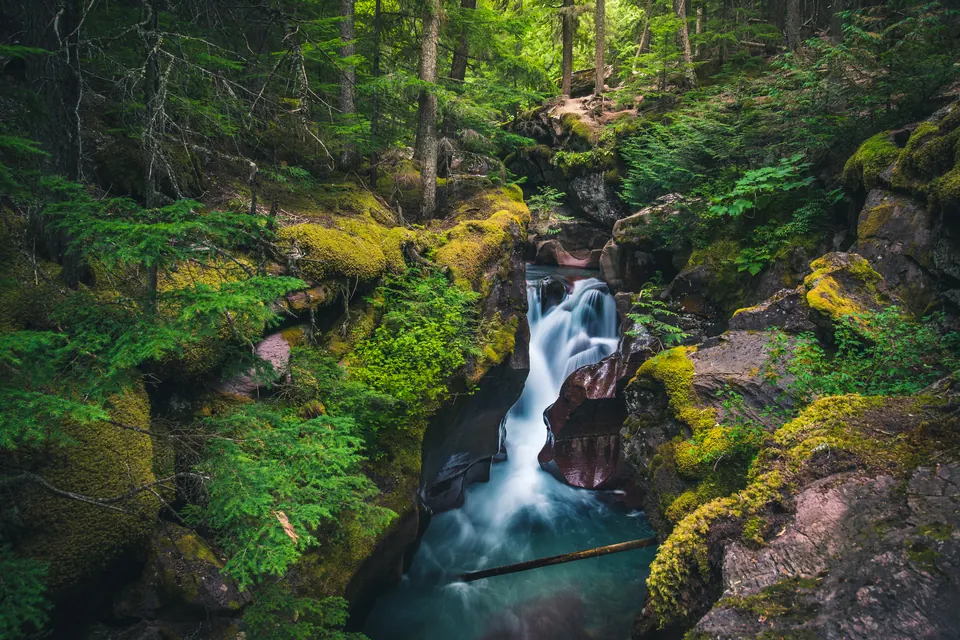 Ein Bach stürzt durch eine enge Felsschlucht in einem dichten grünen Wald.