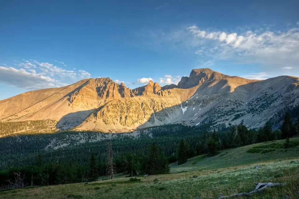 Der Wheeler Peak mit hellen Felsflanken und einzelnen Schneefeldern erhebt sich über einem dunklen Nadelwald, im Vordergrund liegt eine Bergwiese mit einem verwitterten Ast.