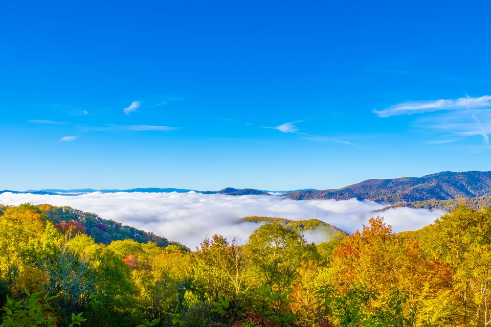 Ein Wolkenmeer füllt die Täler zwischen blauen Bergkämmen, im Vordergrund Bäume in Grün, Gelb und Orange unter blauem Himmel.