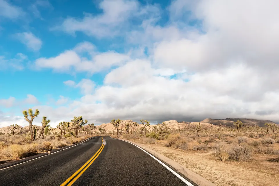 Eine asphaltierte Straße mit gelber Mittellinie führt durch Wüstenland mit Joshua Trees und Granitfelsen unter bewölktem Himmel.