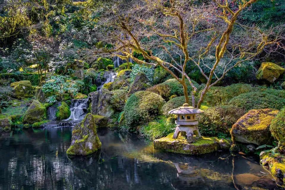 Ein stiller Teich mit bemoosten Felsen und einer steinernen Laterne auf einer kleinen Insel. Dahinter fällt ein Wasserfall über Steinstufen, darüber breiten sich die kahlen Äste eines Baums aus.