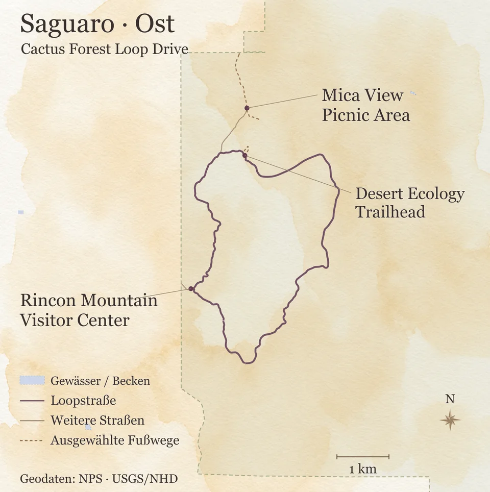 Detailkarte des Ostbezirks im Saguaro National Park mit Cactus Forest Loop Drive, Rincon Mountain Visitor Center, Desert Ecology Trailhead und Mica View Picnic Area.