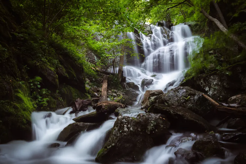 Ein Wasserfall stürzt über mehrere Felsstufen in einen moosigen Bachlauf im grünen Wald.