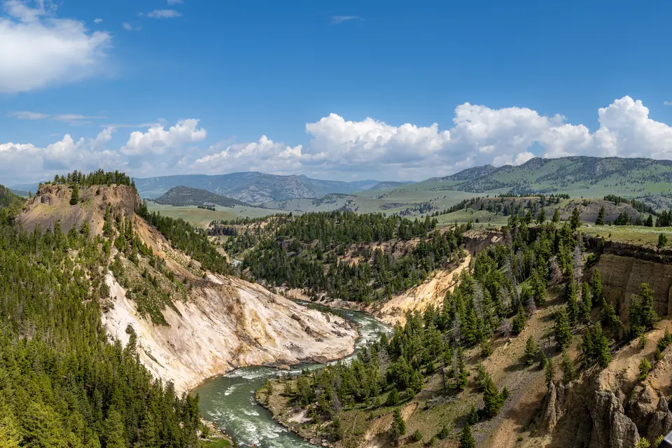 Fluss, der sich durch eine Schlucht mit hellen, teils gelblichen Steilhängen und Nadelwald windet.