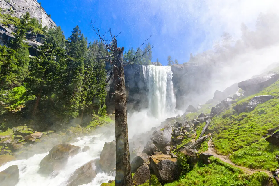 Ein breiter Wasserfall stürzt über eine Felsstufe, Gischt treibt über Felsblöcke und einen grünen Hang mit Weg, im Vordergrund ein abgestorbener Baum.